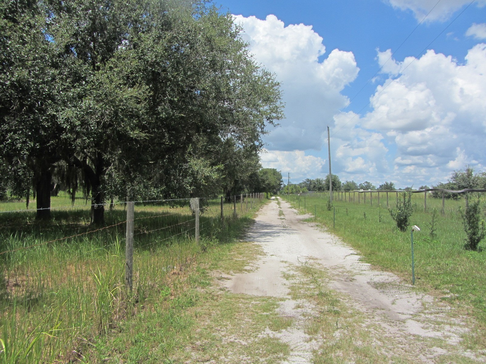 46365 State Road 64 E Myakka City FL 34251 A4691472 image47