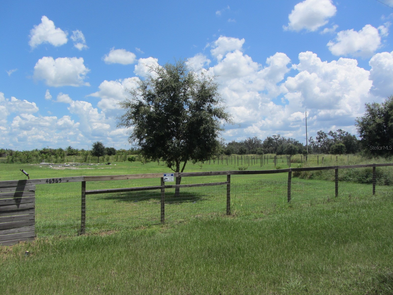 46365 State Road 64 E Myakka City FL 34251 A4691472 image48