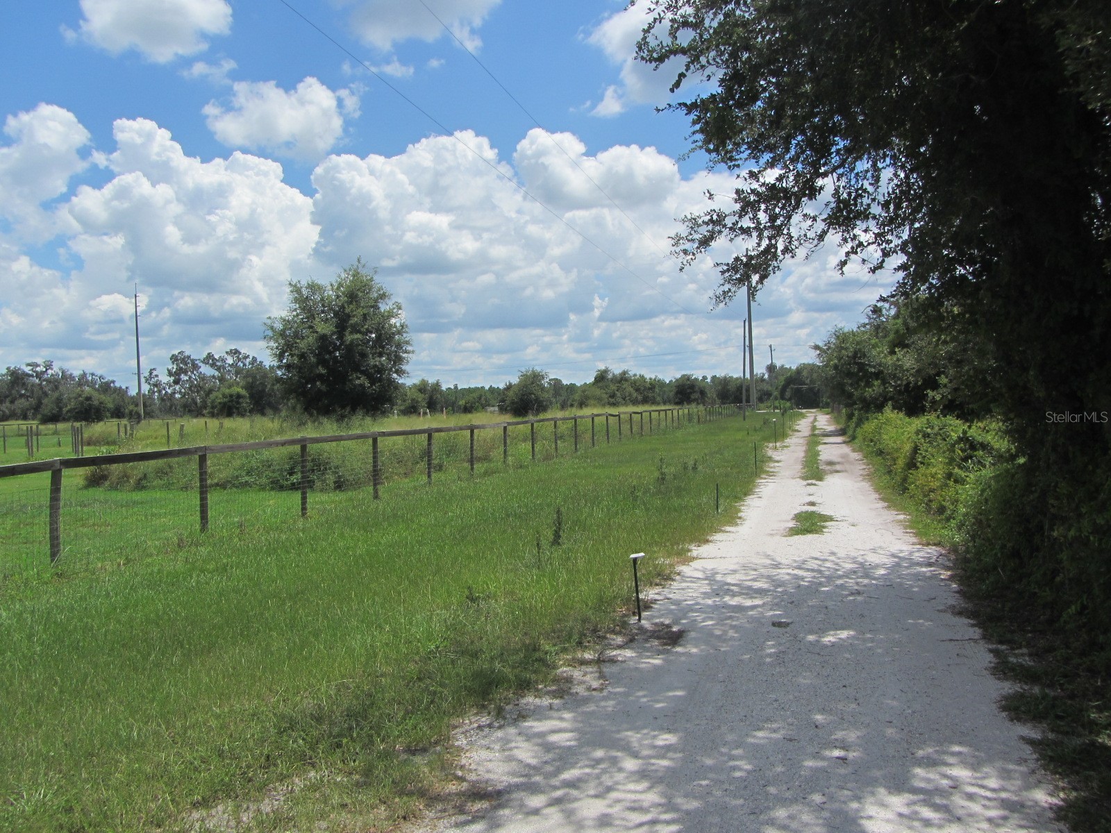 46365 State Road 64 E Myakka City FL 34251 A4691472 image50