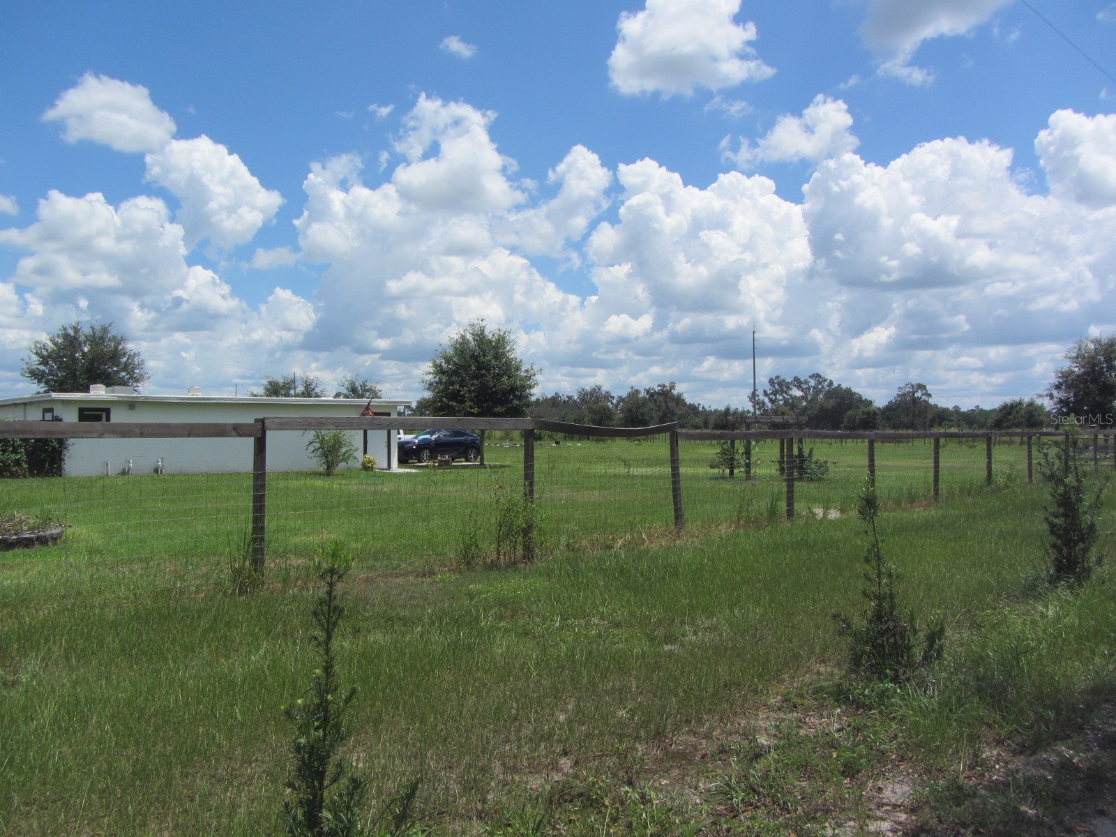 46365 State Road 64 E Myakka City FL 34251 A4691472 image53