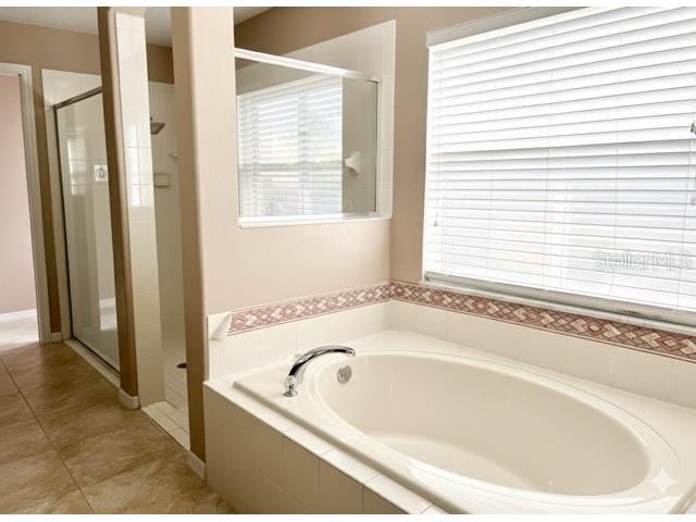 4637 Huron Bay Circle Kissimmee FL 34759 S5136549 image23