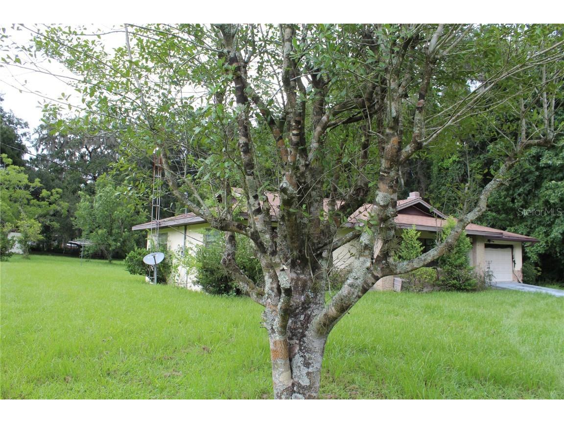 4637 SE 115th Street Belleview FL 34420 G5084809 image1