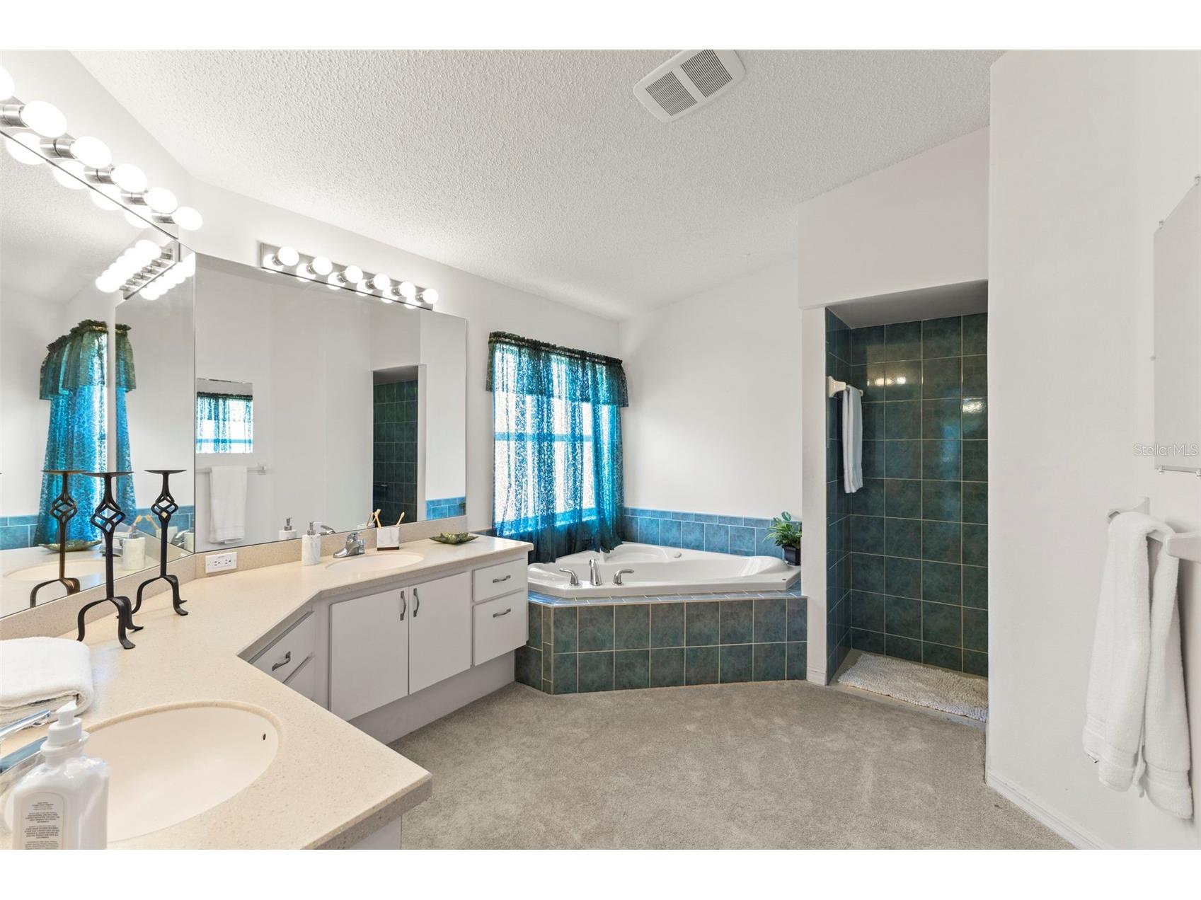 4638 Anaconda Drive New Port Richey FL 34655 TB8522346 image29