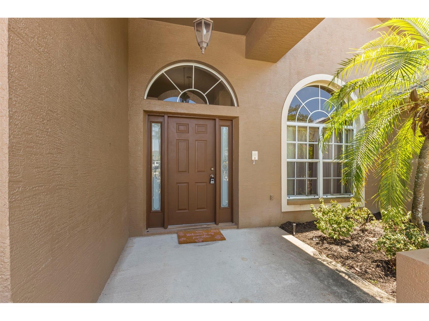 4638 Anaconda Drive New Port Richey FL 34655 TB8522346 image4