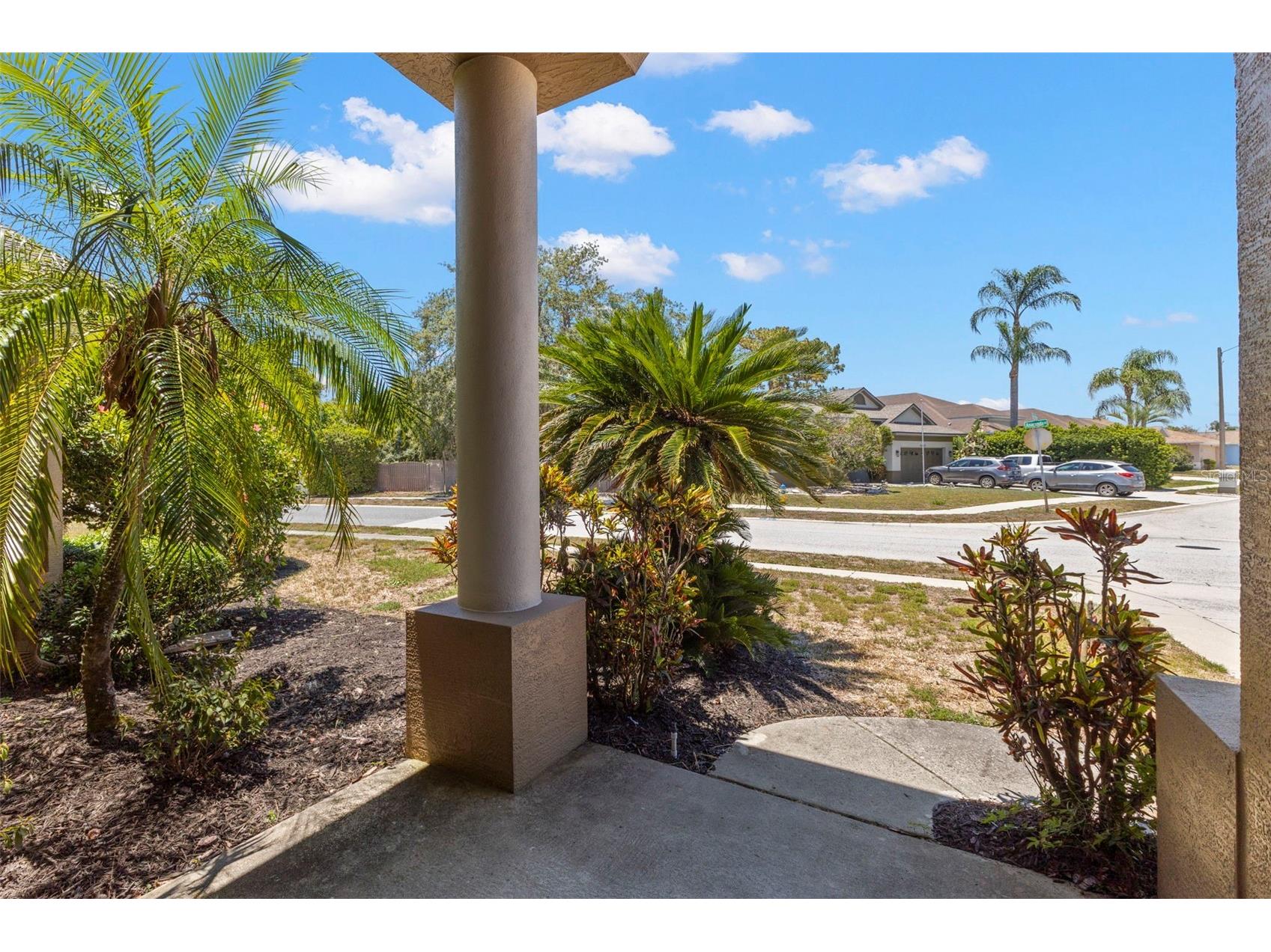 4638 Anaconda Drive New Port Richey FL 34655 TB8522346 image5