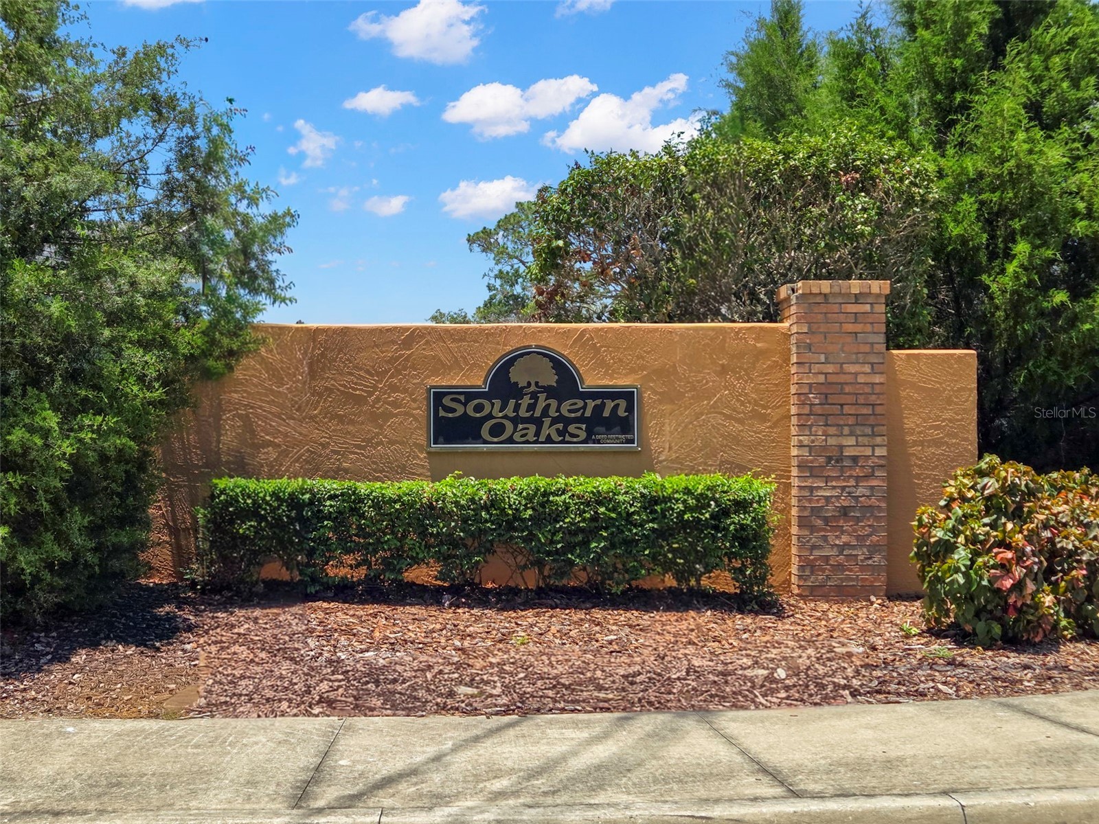 4638 Anaconda Drive New Port Richey FL 34655 TB8522346 image50