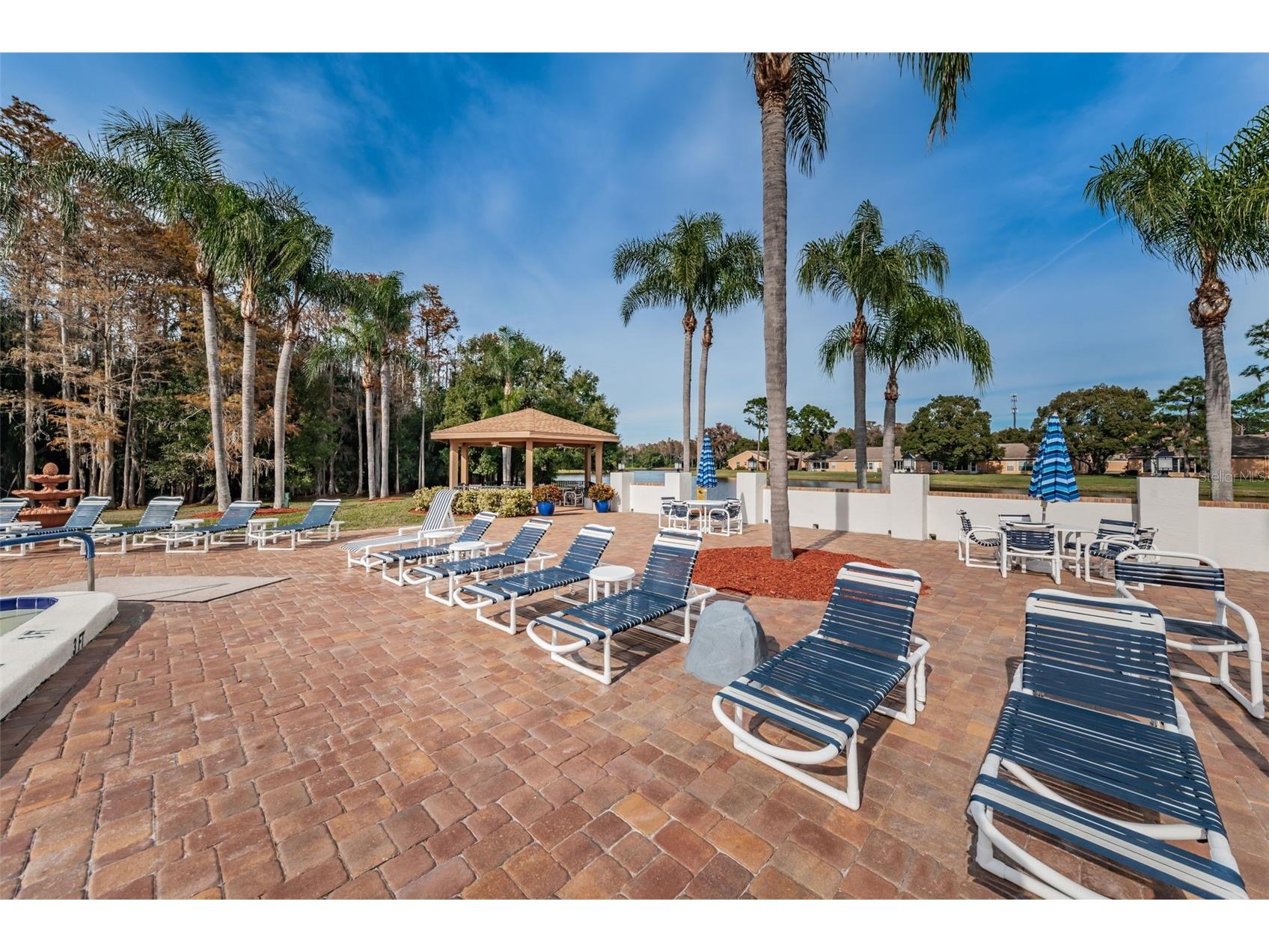 4638 Sheffield Drive New Port Richey FL 34655 TB8521593 image38