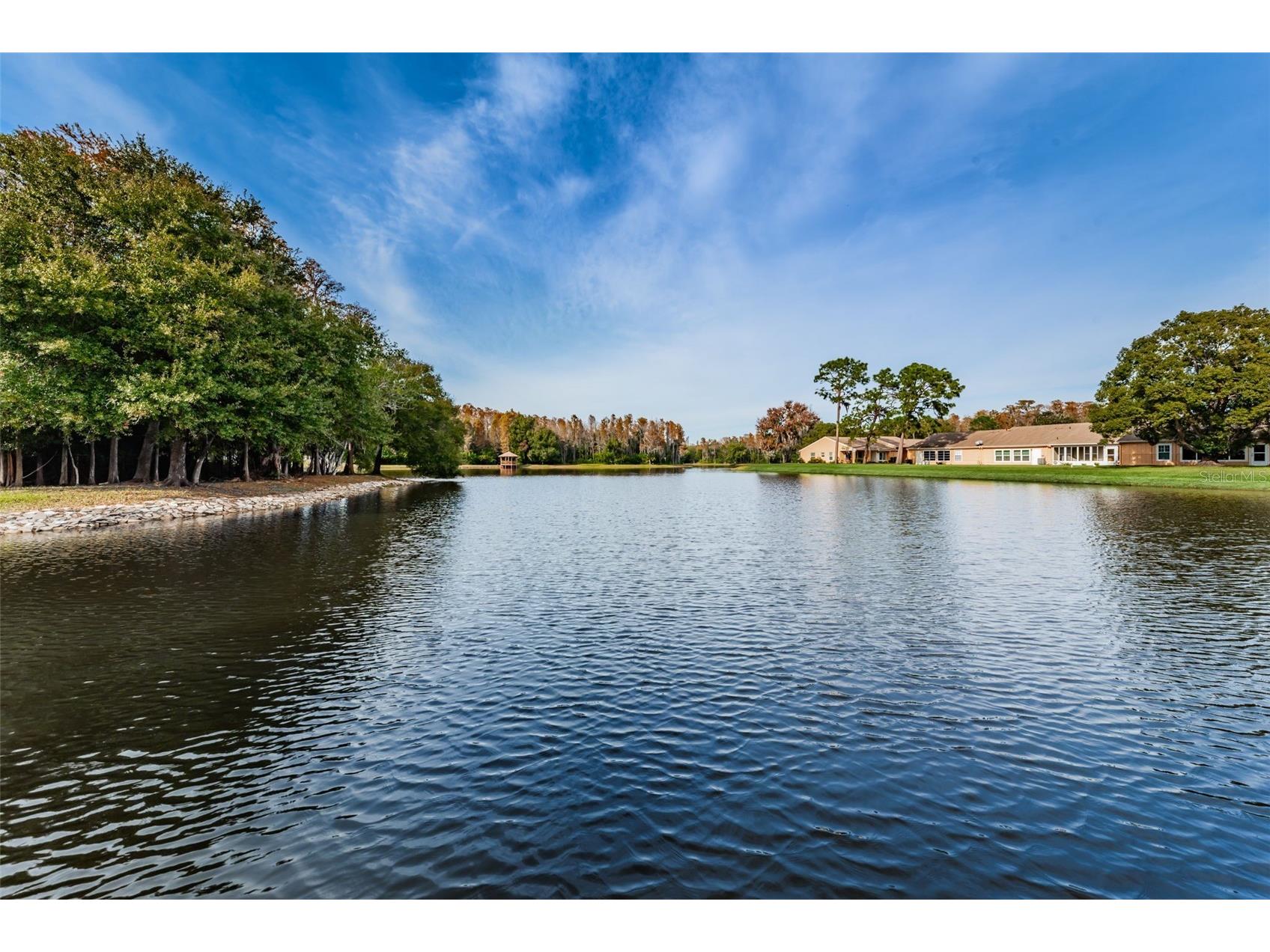 4638 Sheffield Drive New Port Richey FL 34655 TB8521593 image43