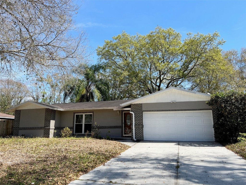 4638 Steel Dust Lane Lutz FL 33559 T3472830 image1