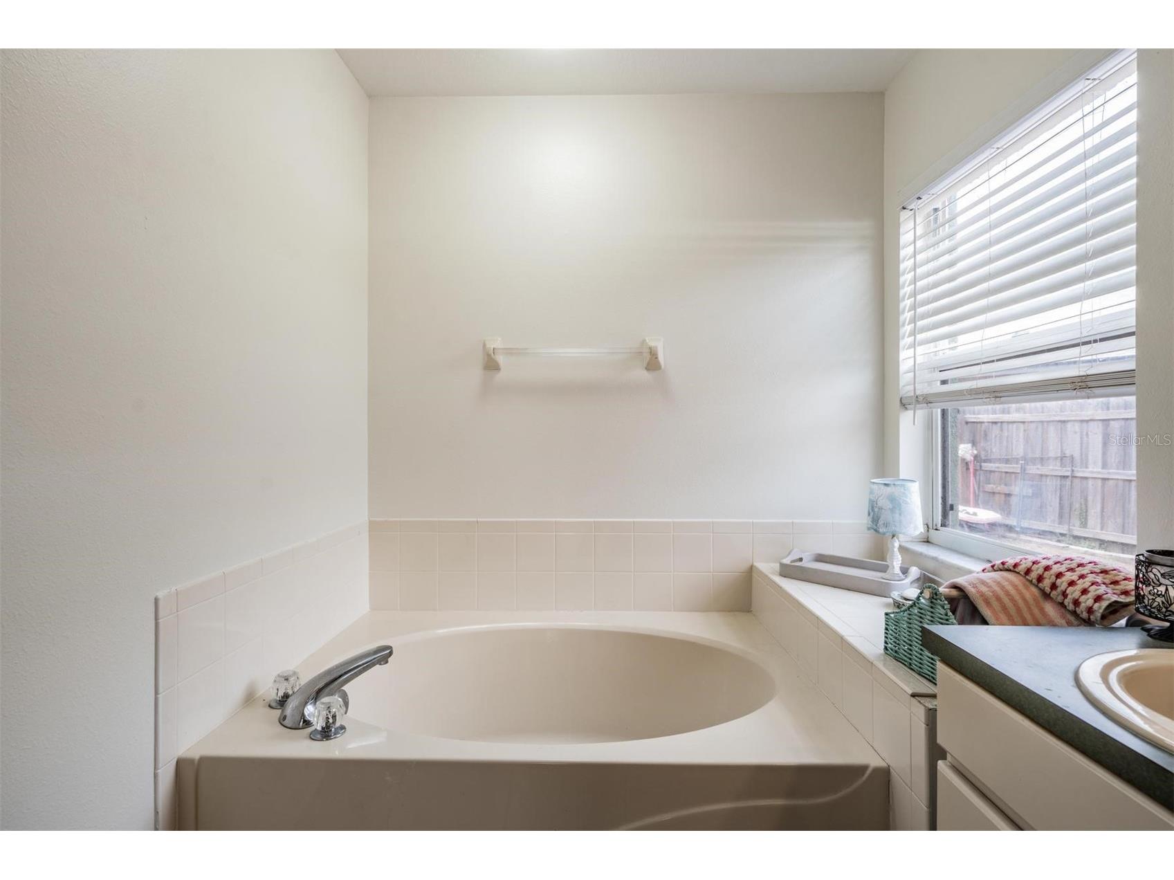 4638 Tucson Court Valrico FL 33594 TB8508108 image19