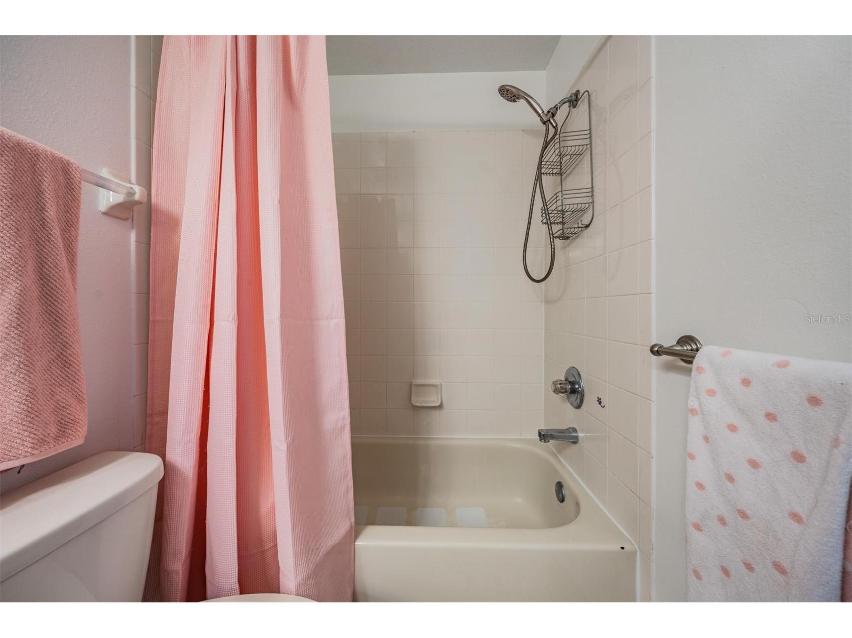 4638 Tucson Court Valrico FL 33594 TB8508108 image25