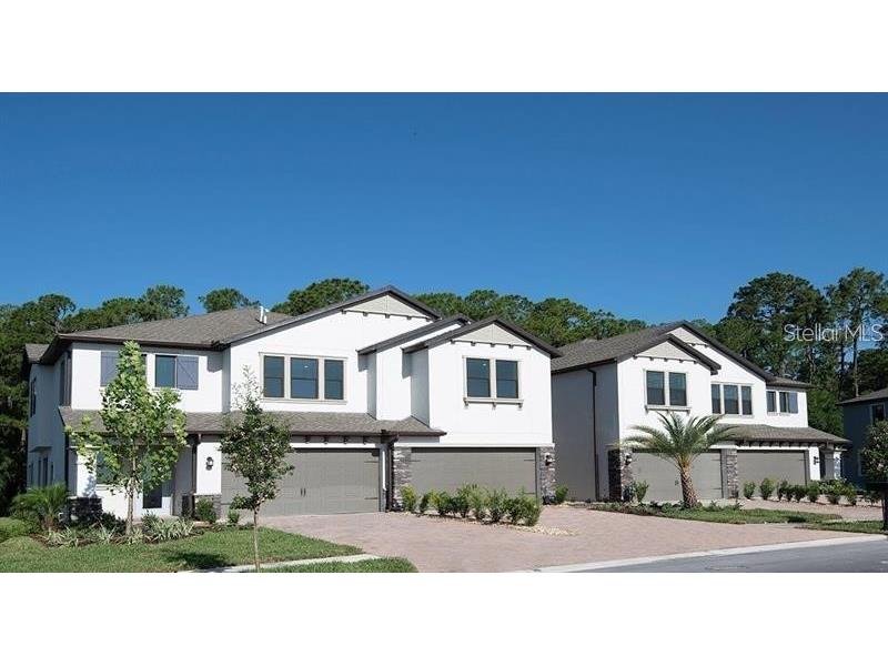 4639 Almada Lane Wesley Chapel FL 33543 O6123204 image1