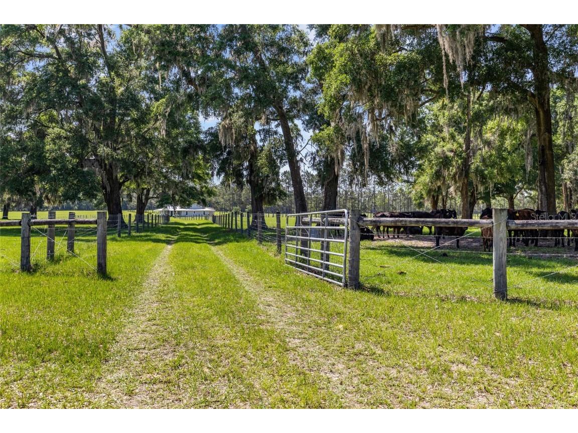4639 SW Wilson Springs Road Fort White FL 32038 - SANTA FE RIVER GC531772 image3