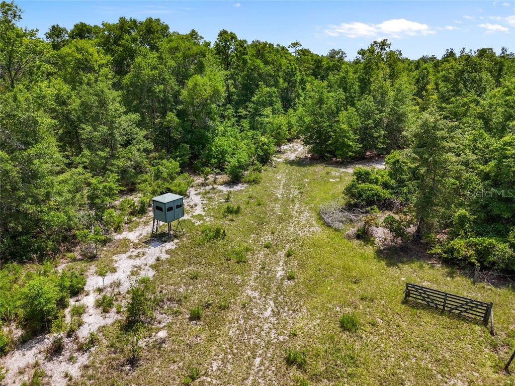 4639 SW Wilson Springs Road Fort White FL 32038 - SANTA FE RIVER GC531772 image30