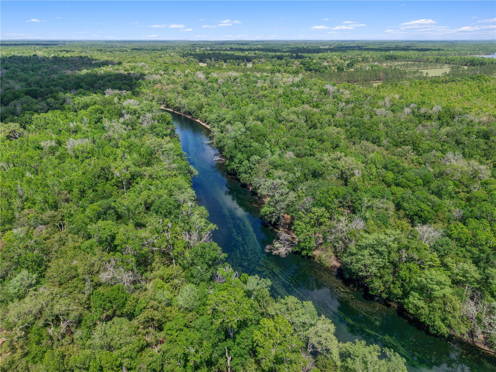 4639 SW Wilson Springs Road Fort White FL 32038 W7884699 image36