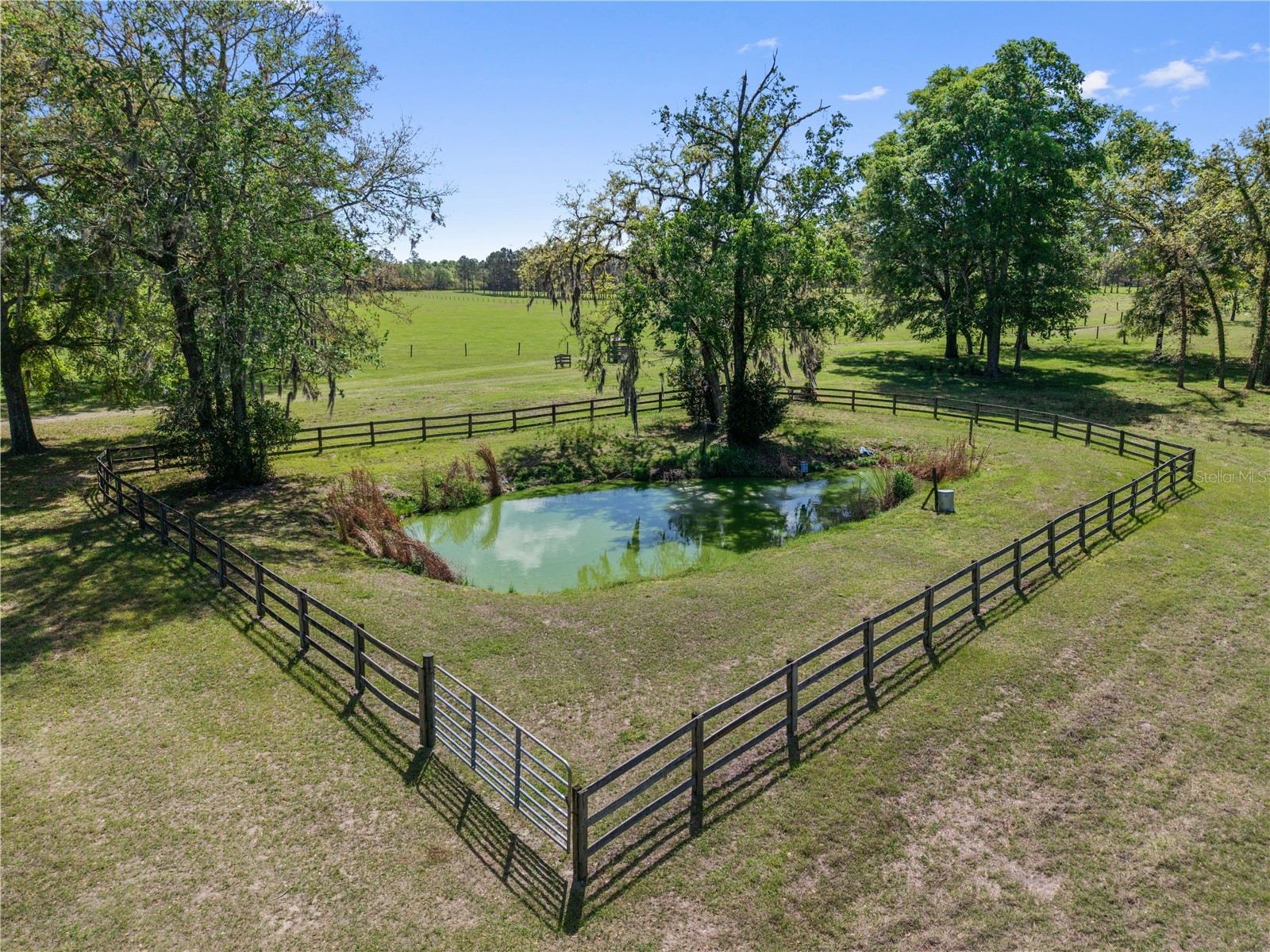 4639 SW Wilson Springs Road Fort White FL 32038 W7884699 image38