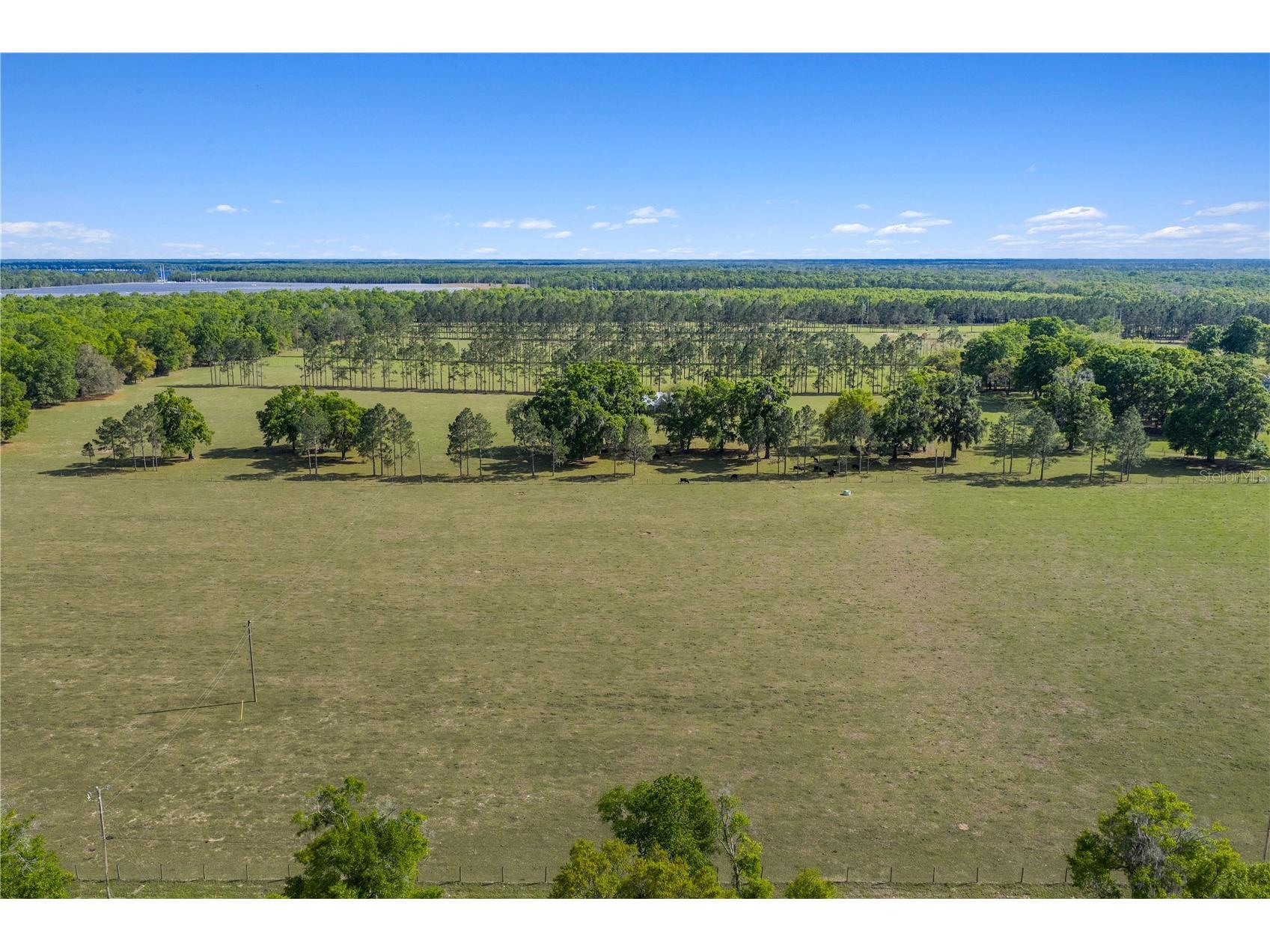 4639 SW Wilson Springs Road Fort White FL 32038 W7884699 image44