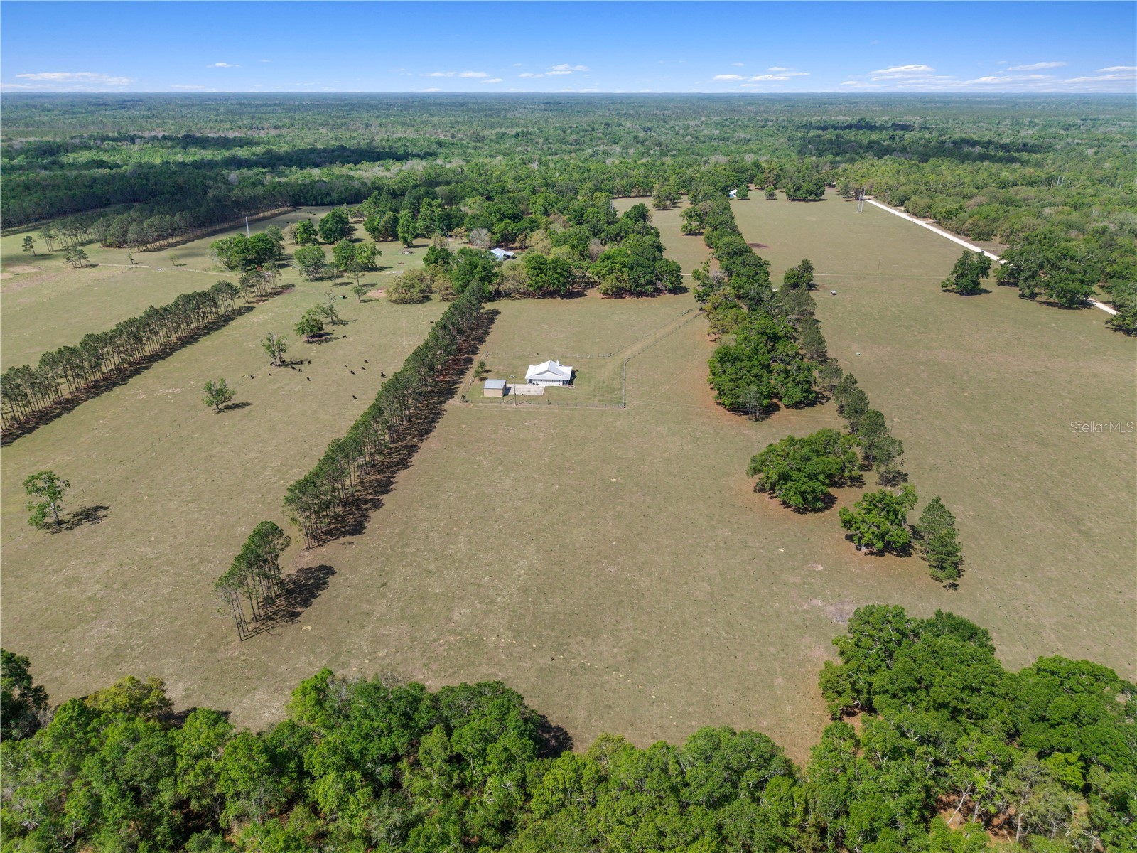 4639 SW Wilson Springs Road Fort White FL 32038 W7884699 image47