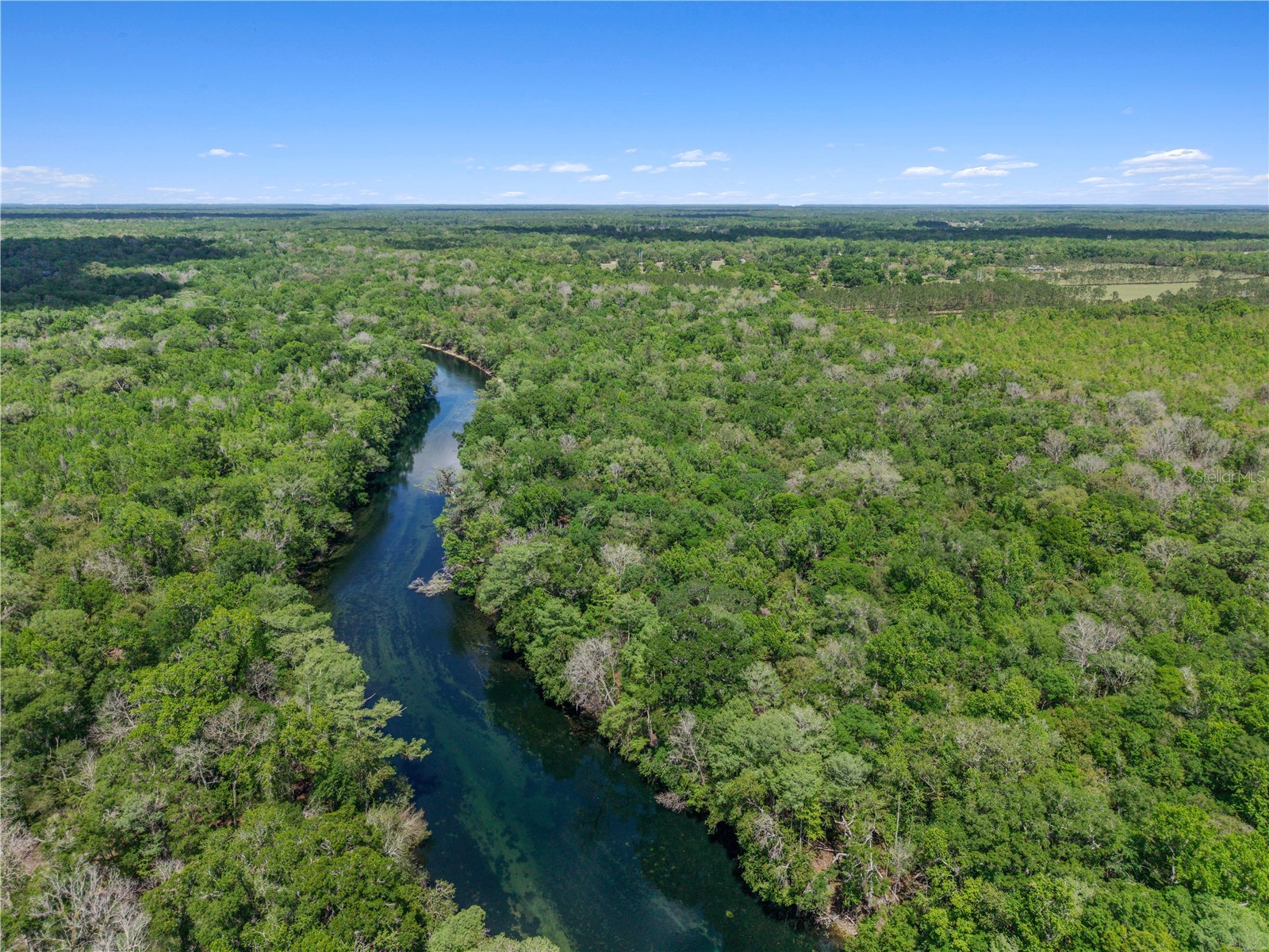 4639 SW Wilson Springs Road Fort White FL 32038 W7884699 image49