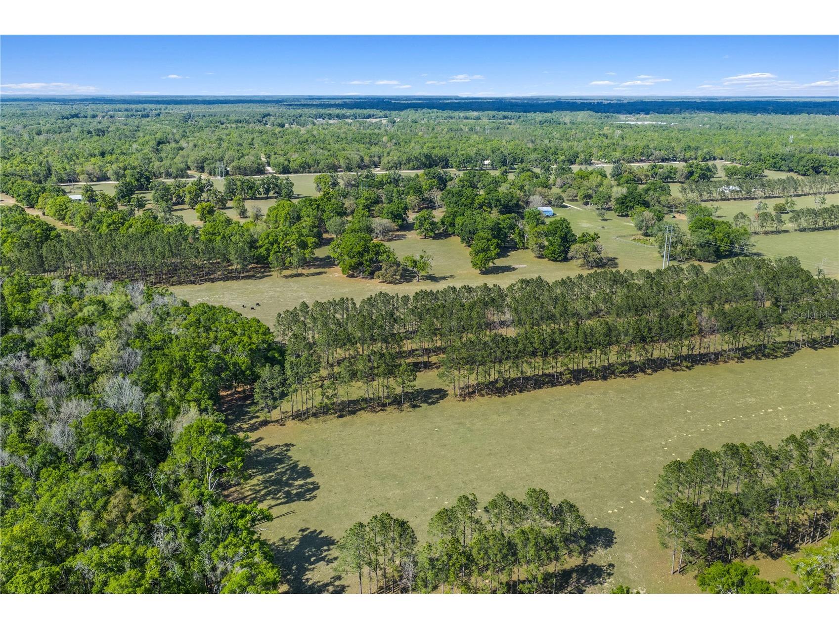 4639 SW Wilson Springs Road Fort White FL 32038 W7884699 image53