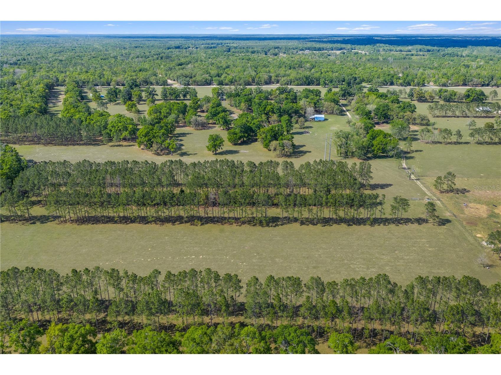 4639 SW Wilson Springs Road Fort White FL 32038 W7884699 image57