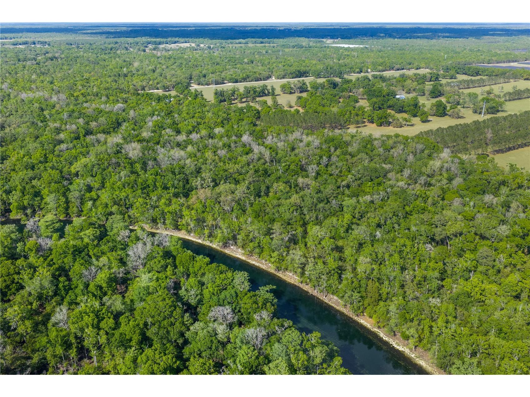 4639 SW Wilson Springs Road Fort White FL 32038 W7884699 image58