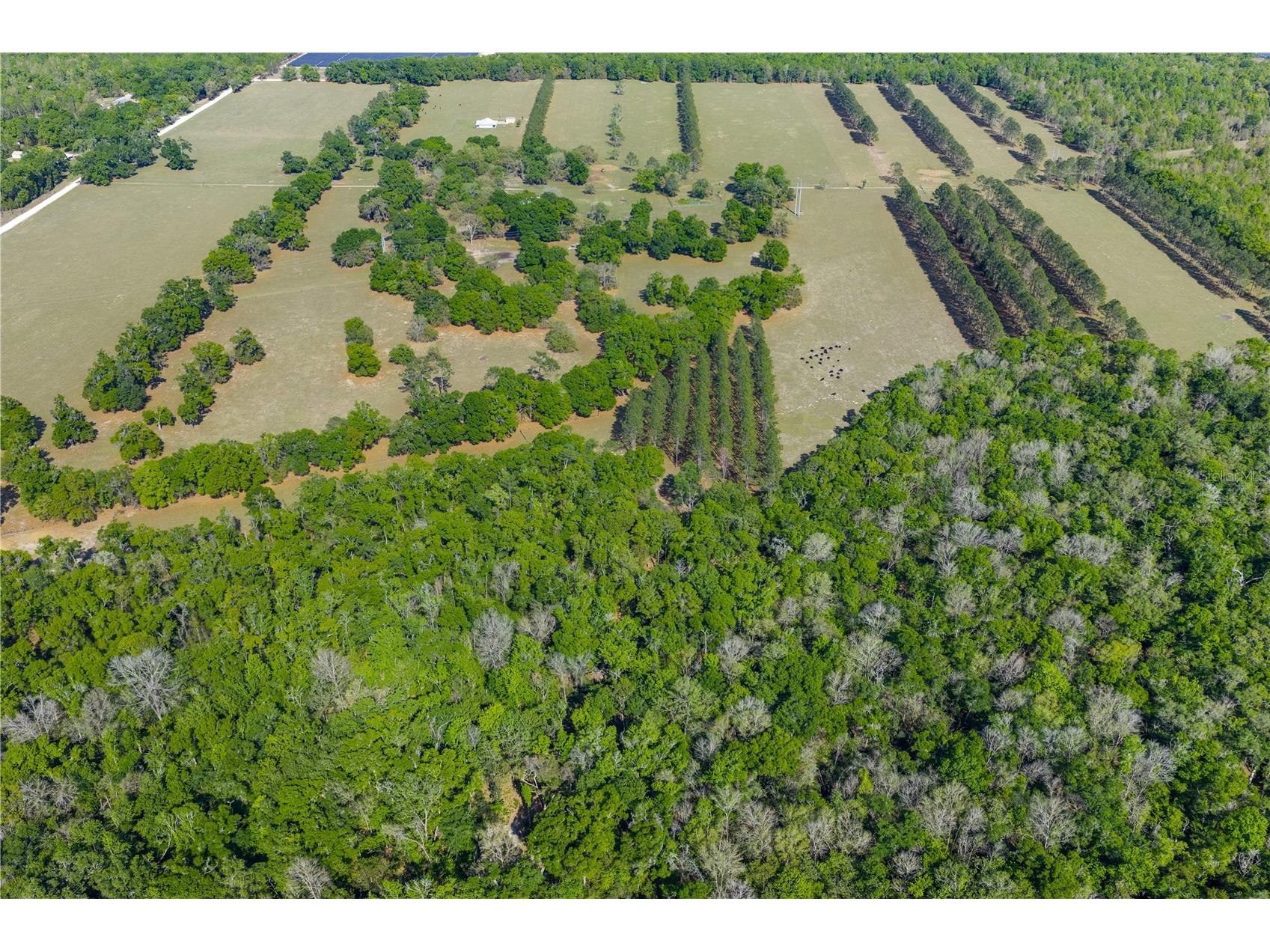 4639 SW Wilson Springs Road Fort White FL 32038 W7884699 image60