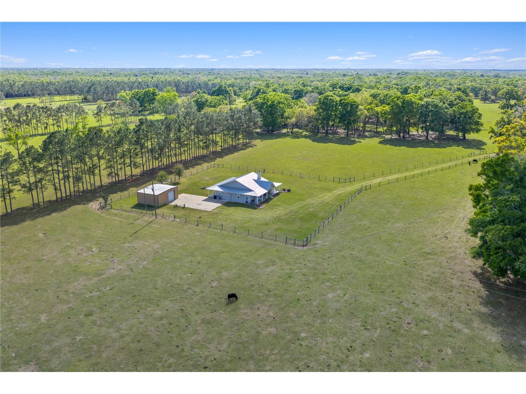4639 SW Wilson Springs Road Fort White FL 32038 W7884699 image61