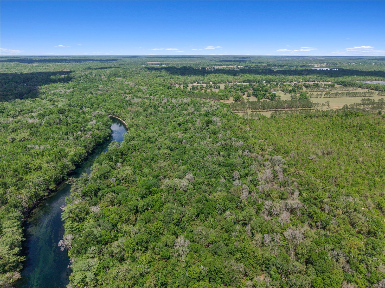 4639 SW Wilson Springs Road Fort White FL 32038 W7884699 image63
