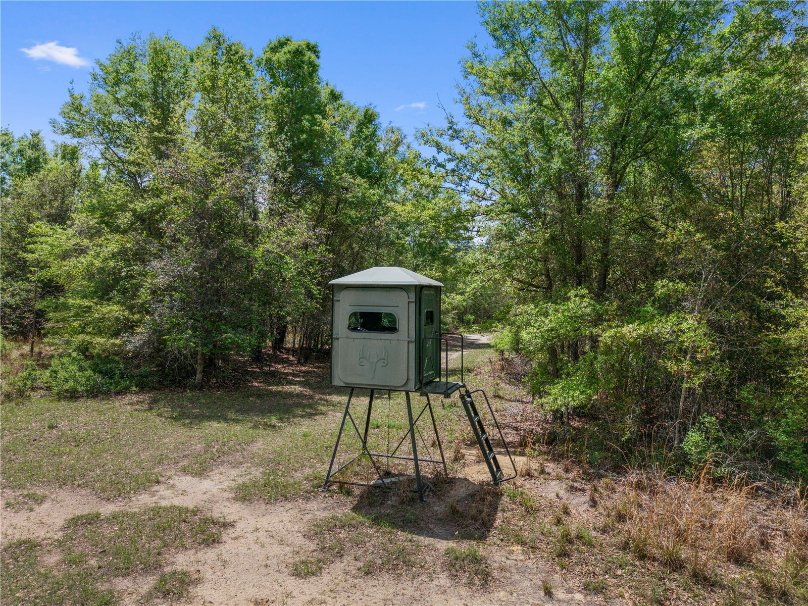 4639 SW Wilson Springs Road Fort White FL 32038 W7884699 image64