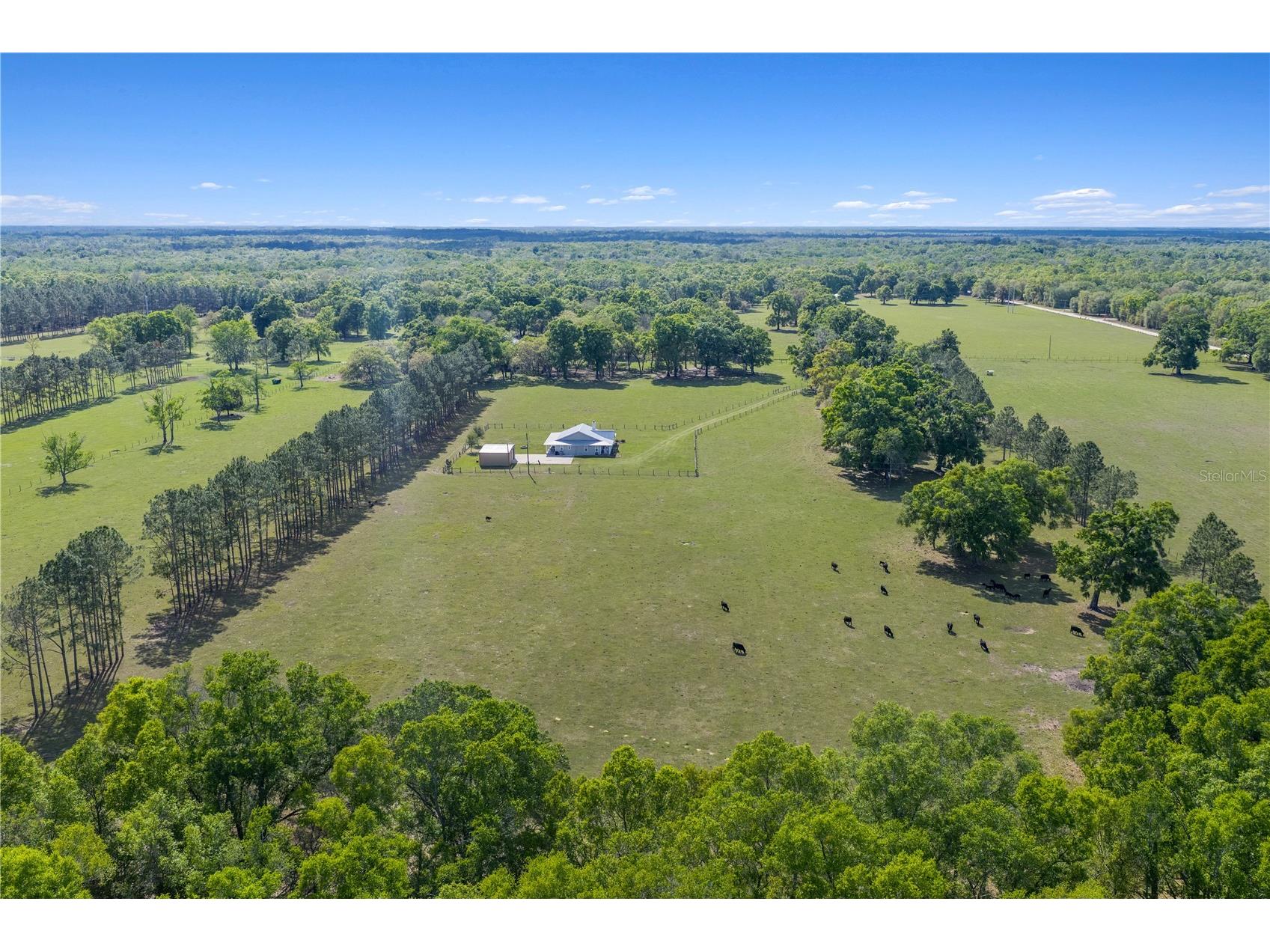 4639 SW Wilson Springs Road Fort White FL 32038 W7884699 image69