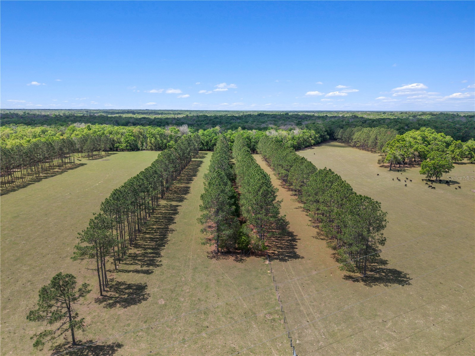 4639 SW Wilson Springs Road Fort White FL 32038 W7884699 image71