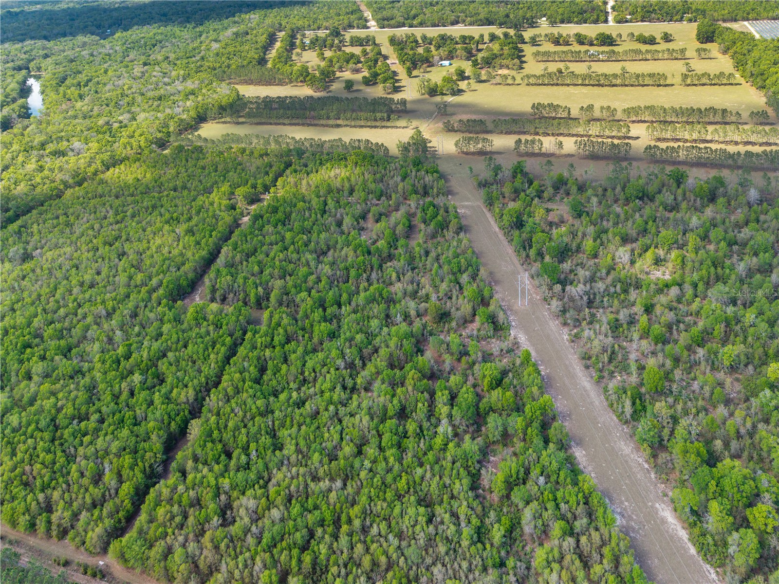 4639 SW Wilson Springs Road Fort White FL 32038 W7884699 image73