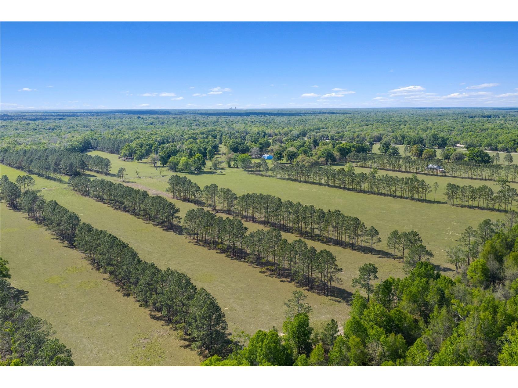 4639 SW Wilson Springs Road Fort White FL 32038 W7884699 image74