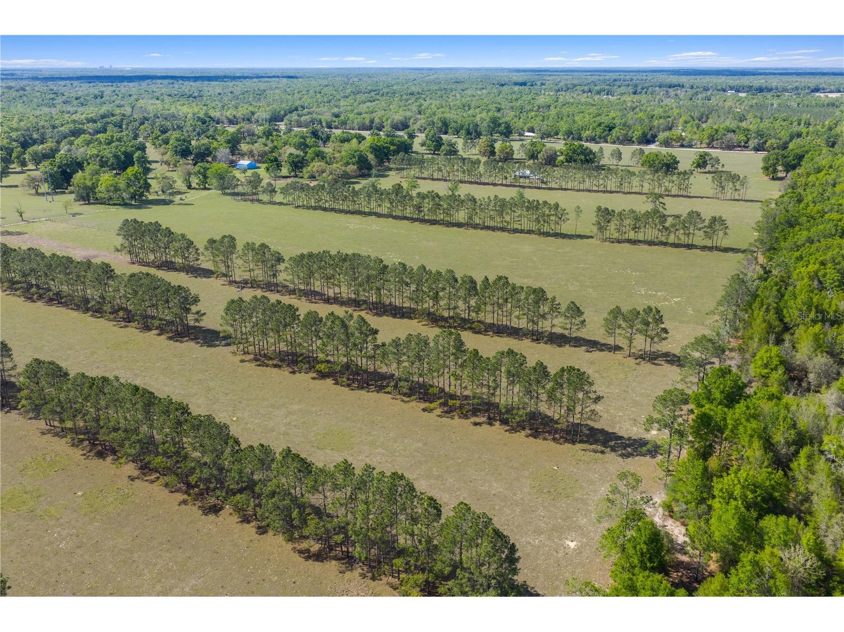 4639 SW Wilson Springs Road Fort White FL 32038 W7884699 image75