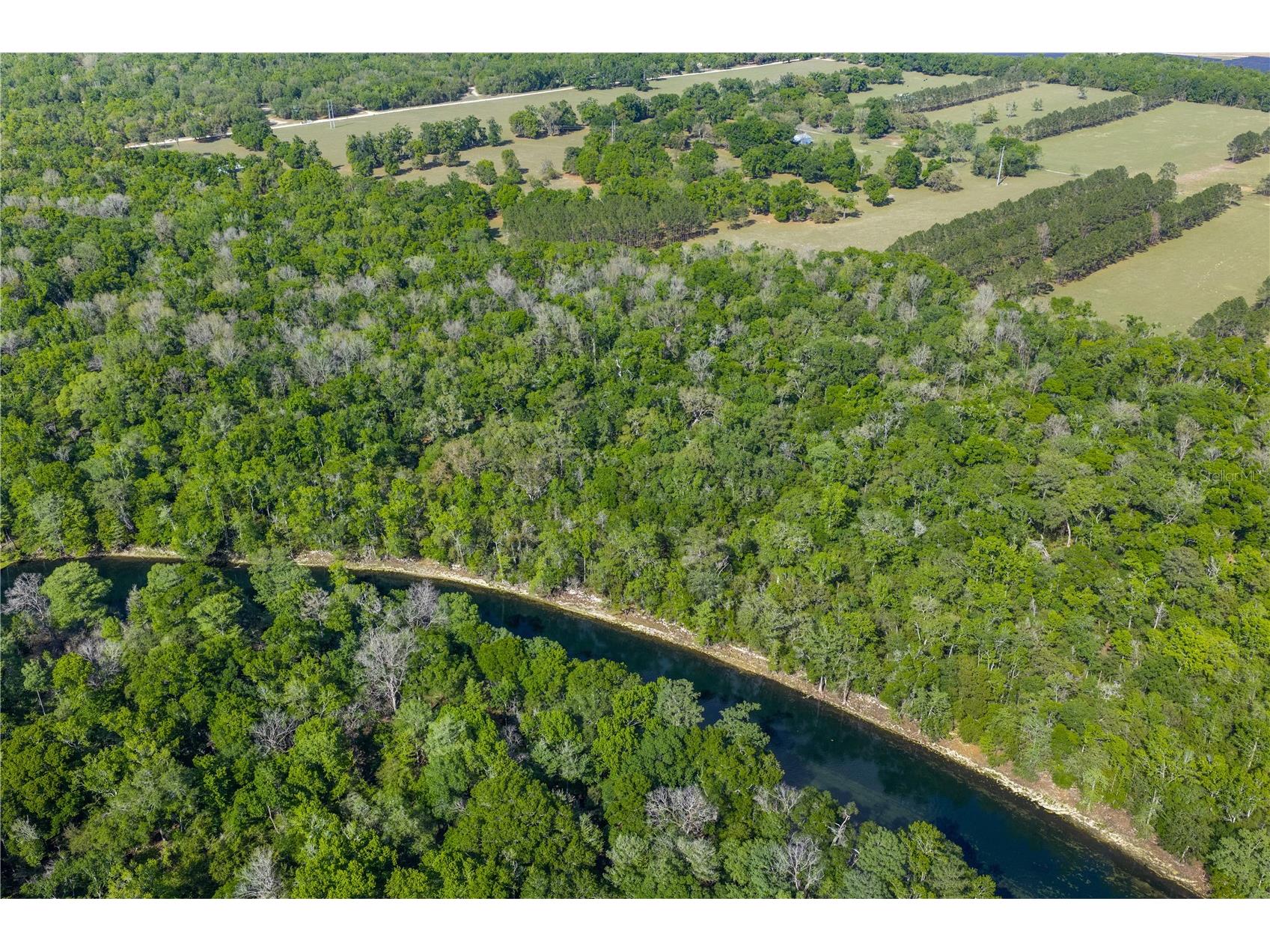4639 SW Wilson Springs Road Fort White FL 32038 W7884699 image76