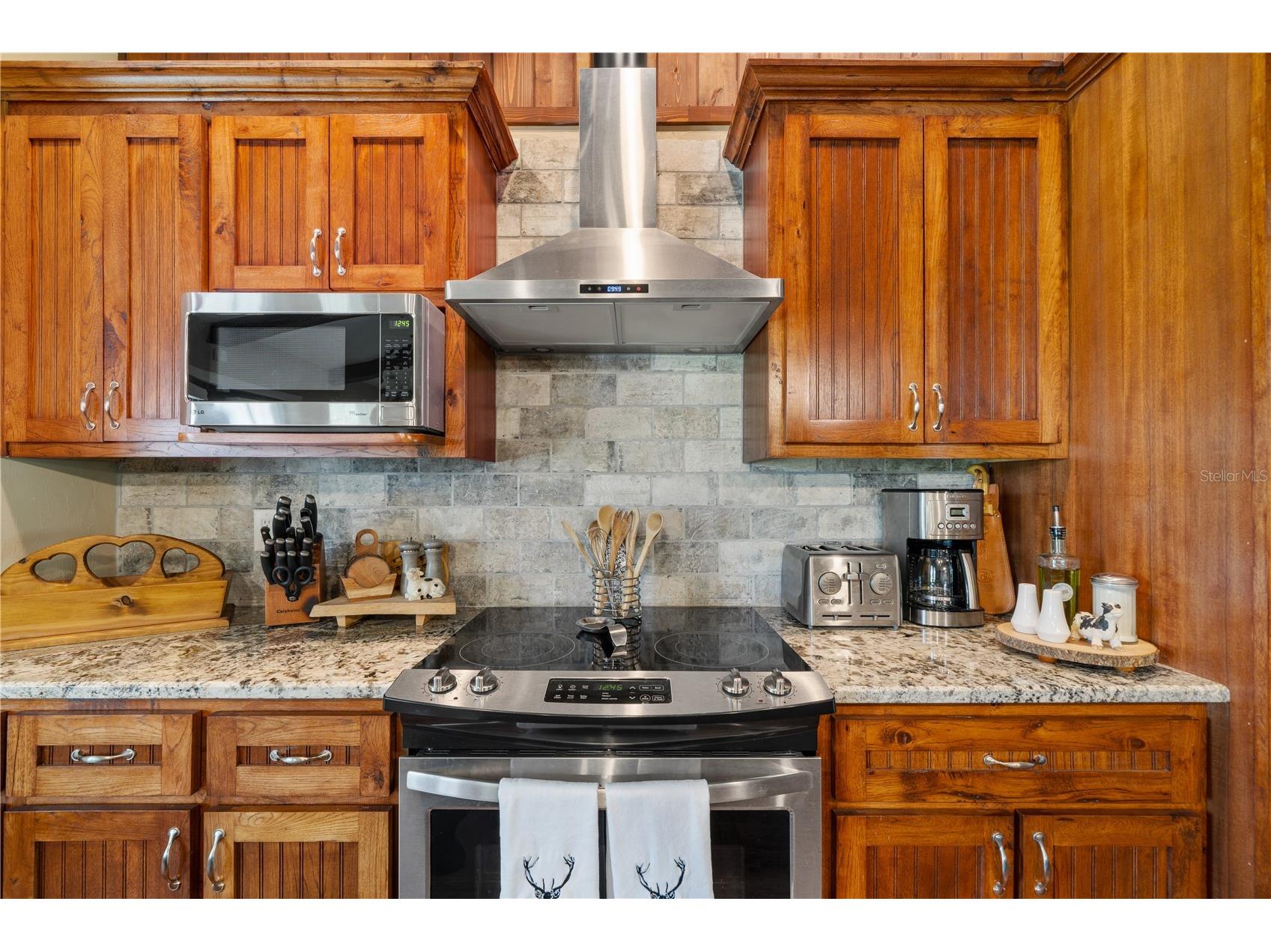 4639 SW Wilson Springs Road Fort White FL 32038 W7884699 image8