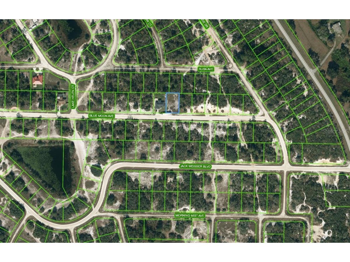 464 Blue Moon Avenue Lake Placid FL 33852 OM624194 image1