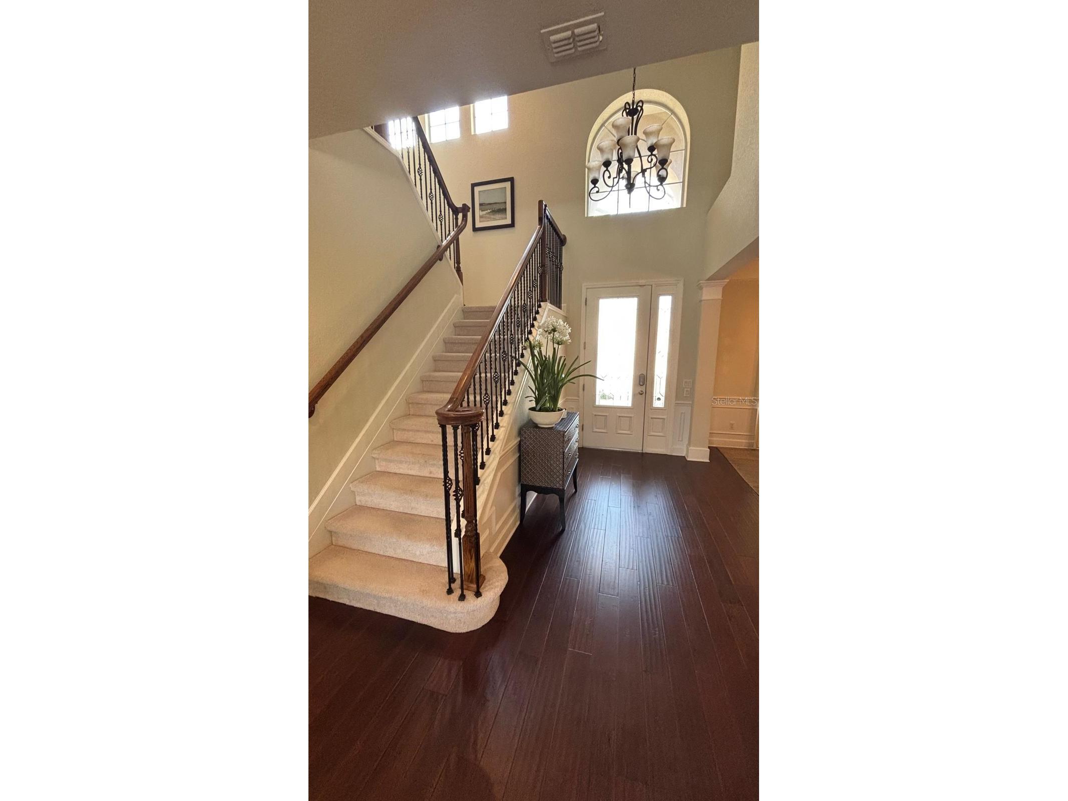 464 Douglas Edward Drive Ocoee FL 34761 S5144749 image11