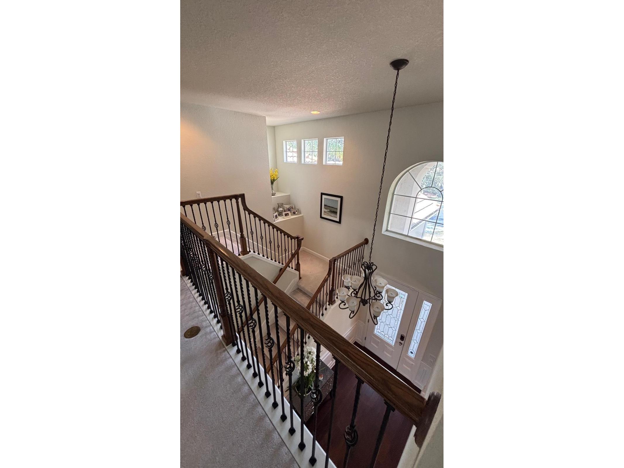 464 Douglas Edward Drive Ocoee FL 34761 S5144749 image13