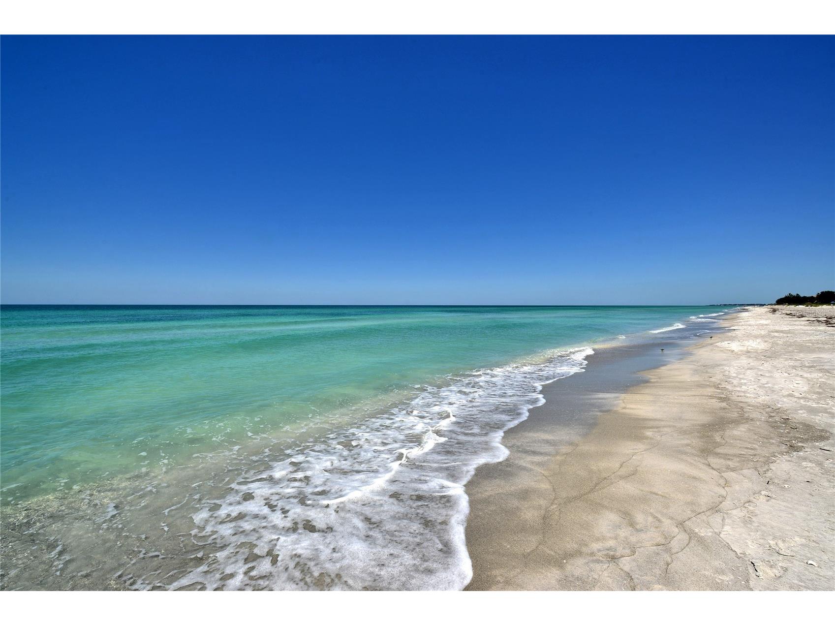 464 Golden Gate Point #304 Sarasota FL 34236 A4676340 image59