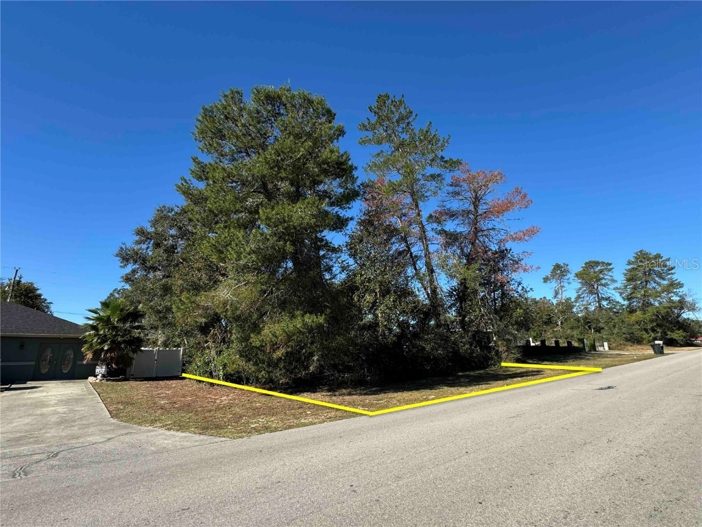 464 Marion Oaks Lane Ocala FL 34473 O6286981 image1
