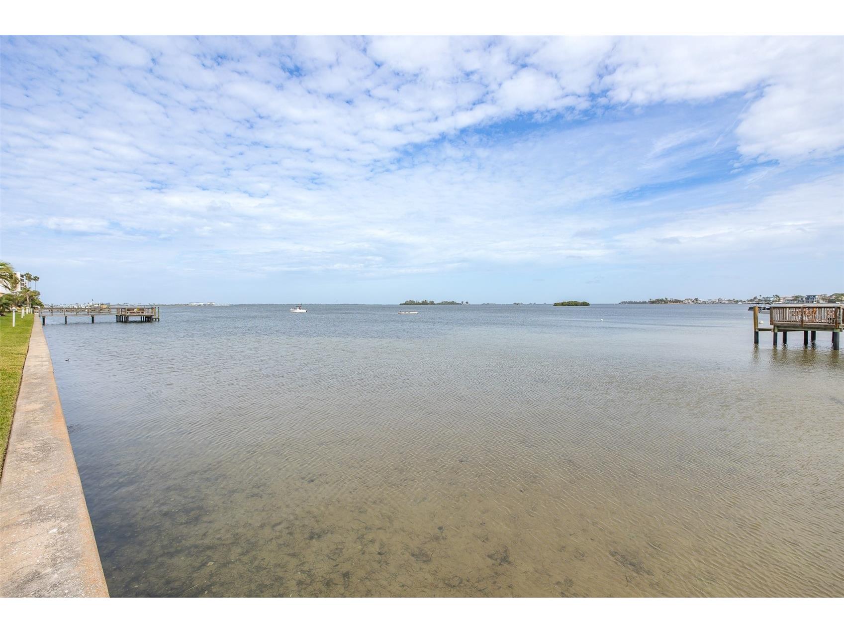 464 N Paula Drive #106 Dunedin FL 34698 W7884585 image61