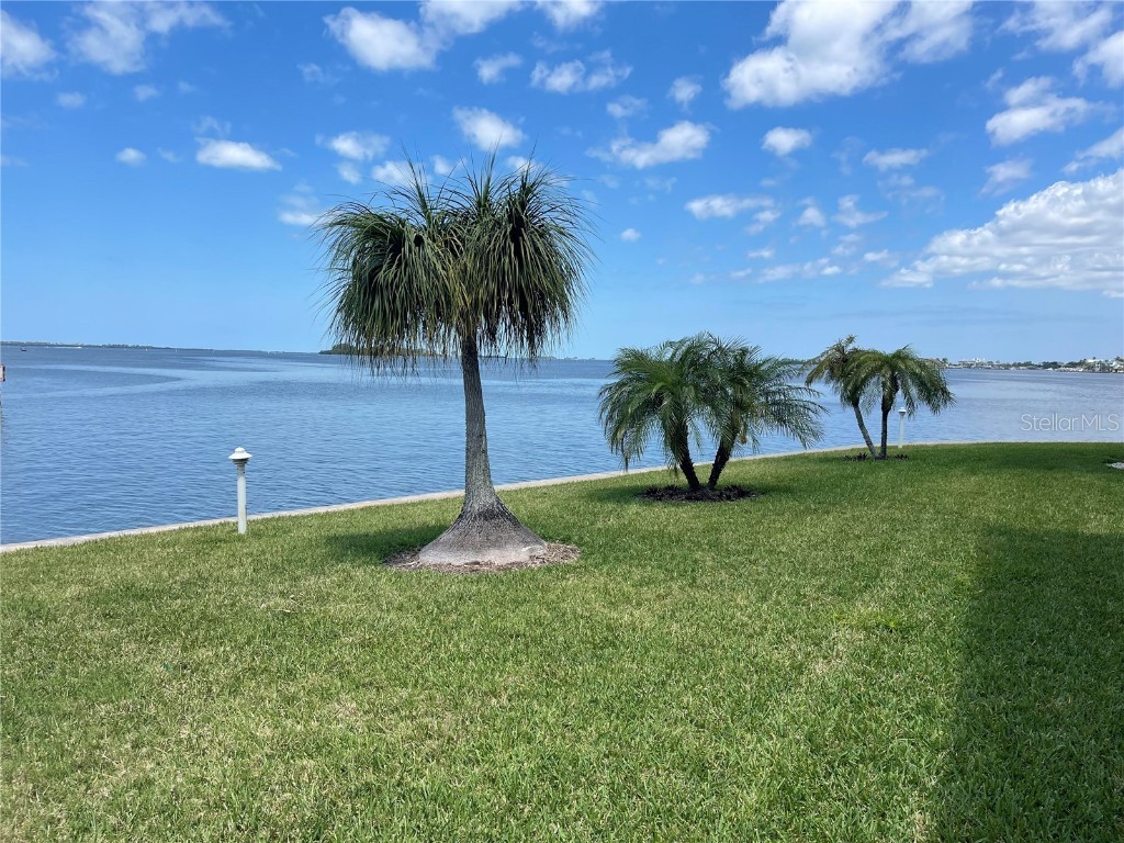 464 N Paula Drive #110 Dunedin FL 34698 U8240216 image1