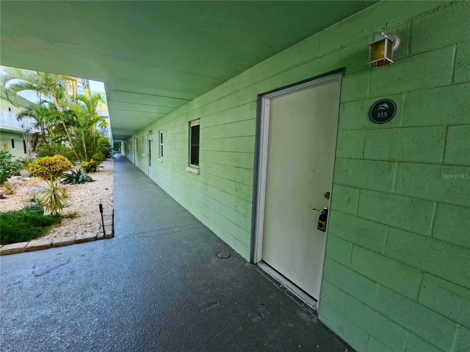 464 N Paula Drive #115 Dunedin FL 34698 - GULF OF AMERICA TB8479091 image24