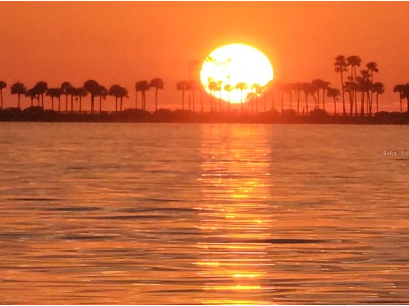 464 N Paula Drive #115 Dunedin FL 34698 - GULF OF AMERICA TB8479091 image35