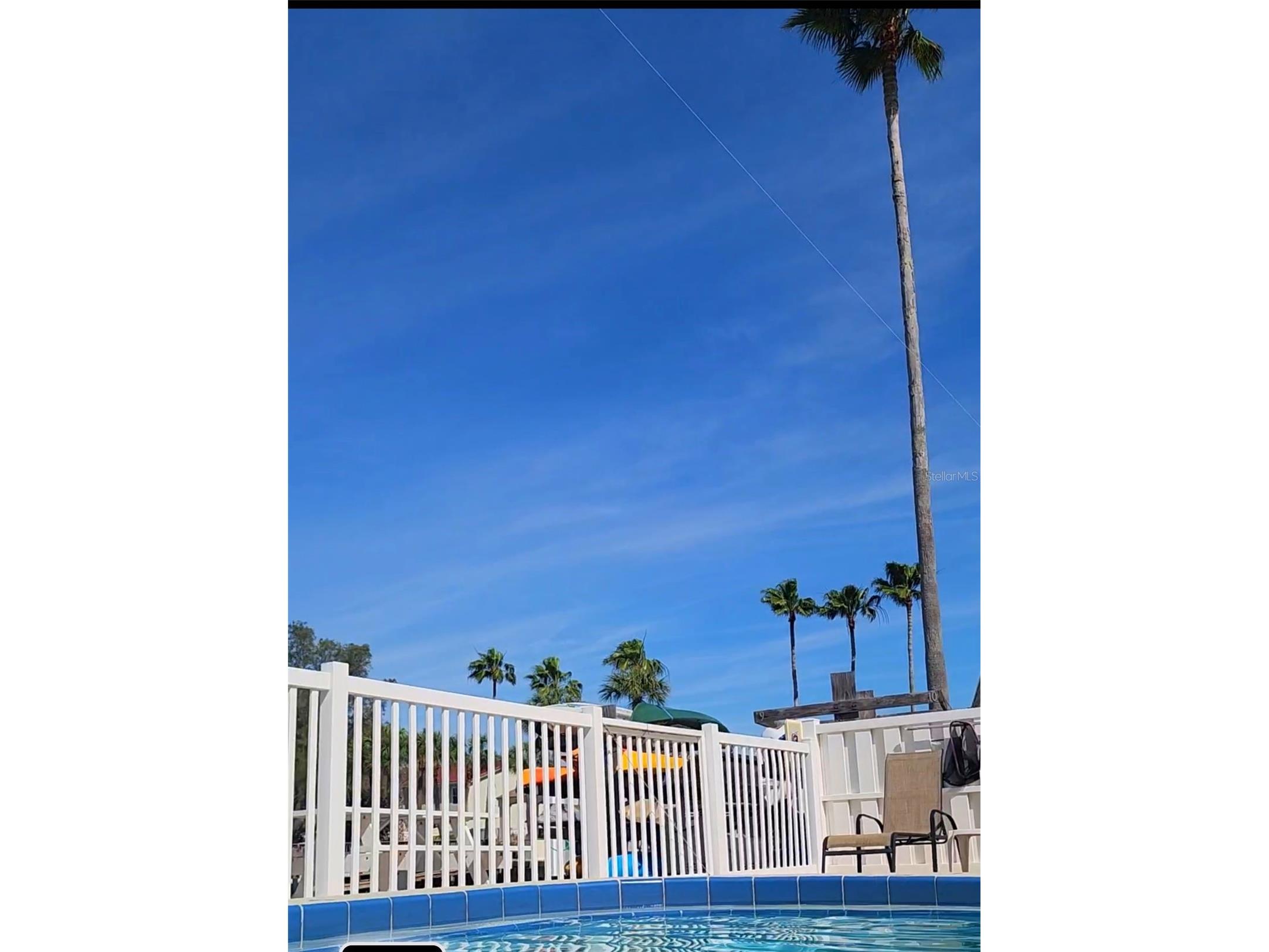 464 N Paula Drive #115 Dunedin FL 34698 - GULF OF AMERICA TB8479091 image37