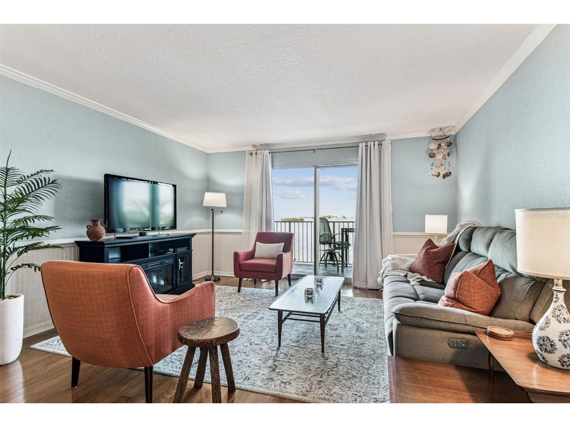 464 N Paula Drive #221 Dunedin FL 34698 TB8443507 image16