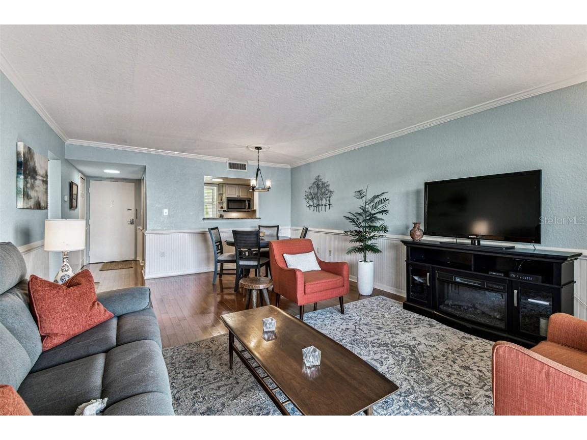 464 N Paula Drive #221 Dunedin FL 34698 TB8443507 image19