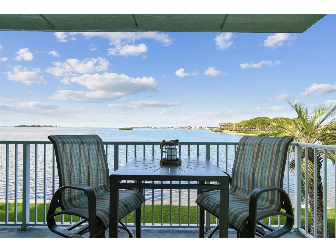 464 N Paula Drive #221 Dunedin FL 34698 TB8443507 image21